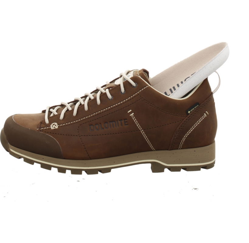 Dolomite 54 Low Fg EVO GTX Men d`braun